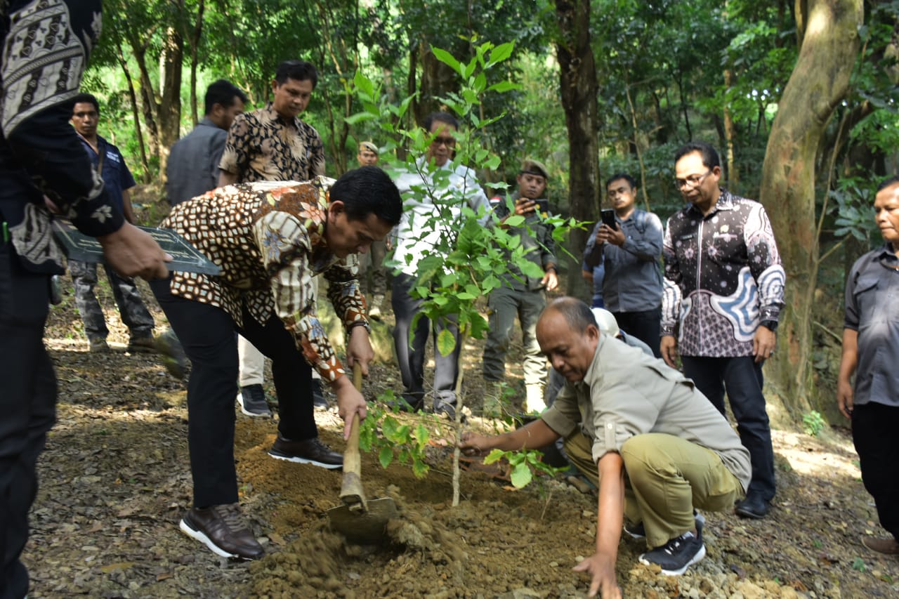 Berkebun.jpg