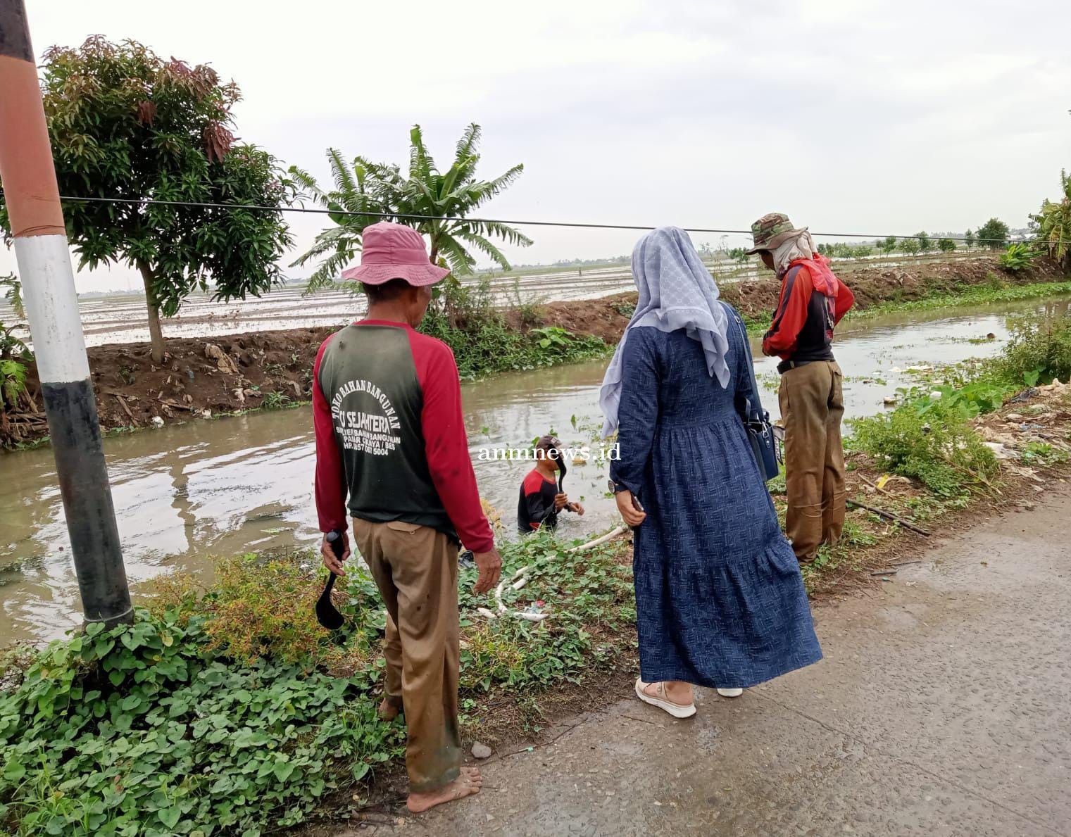 Giat Jumsih Rutin dilaksanakan Pemdes Pajaten Kecamatan Cibuaya