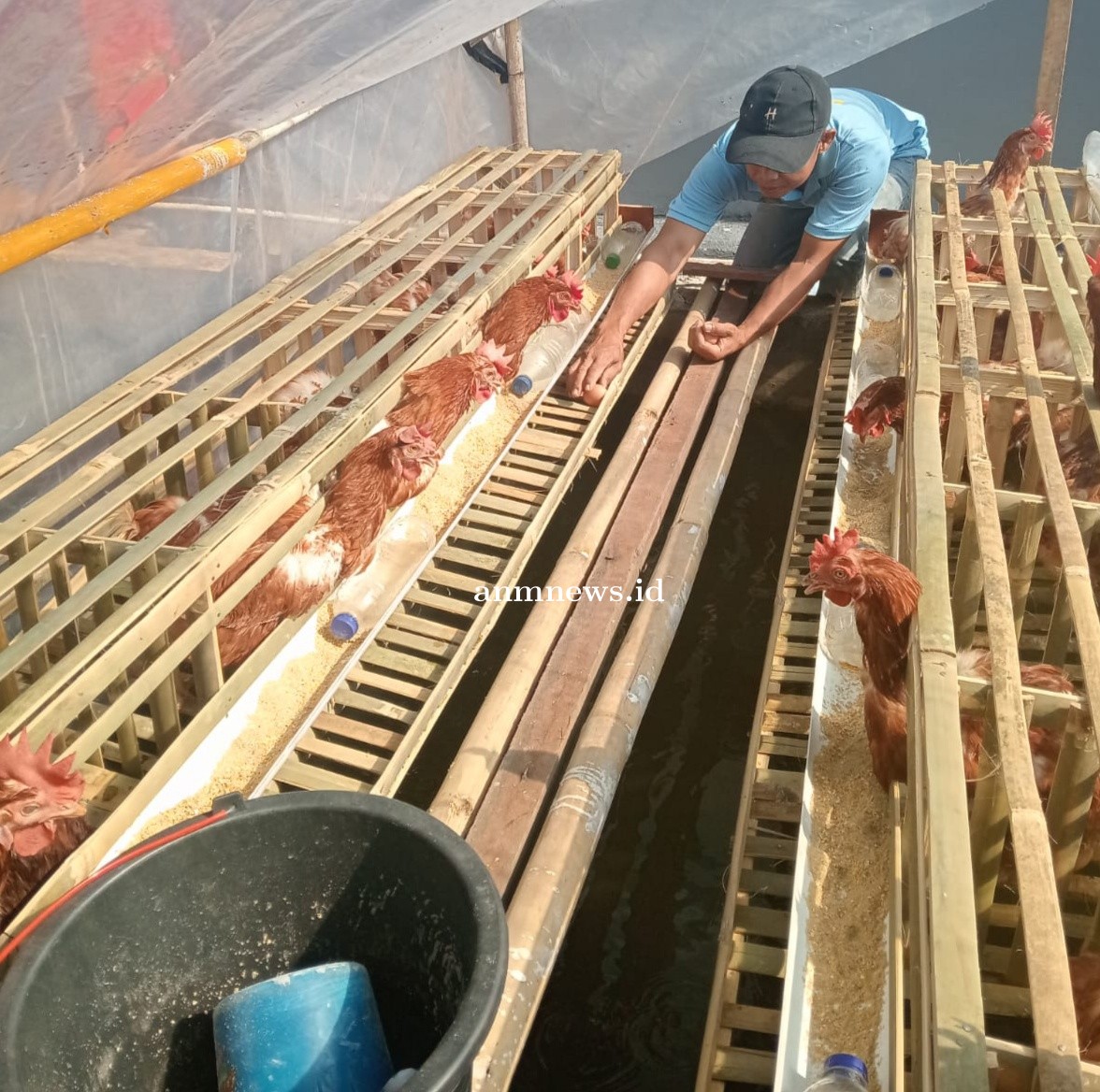 Budidaya Ayam Petelur Bagi Warga Binaan Lapas Kelas IIB Majalengka