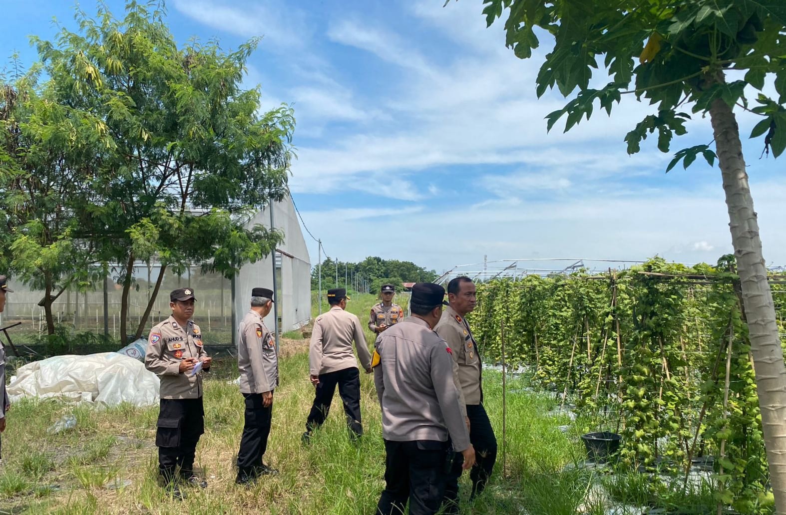 Dukung Ketahanan Pangan, Wakapolres Majalengka Cek Lahan