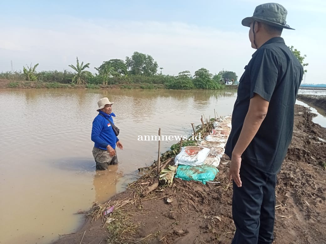 Camat Cikedung Cepat Tanggap, Tangani Tanggul yang Jebol