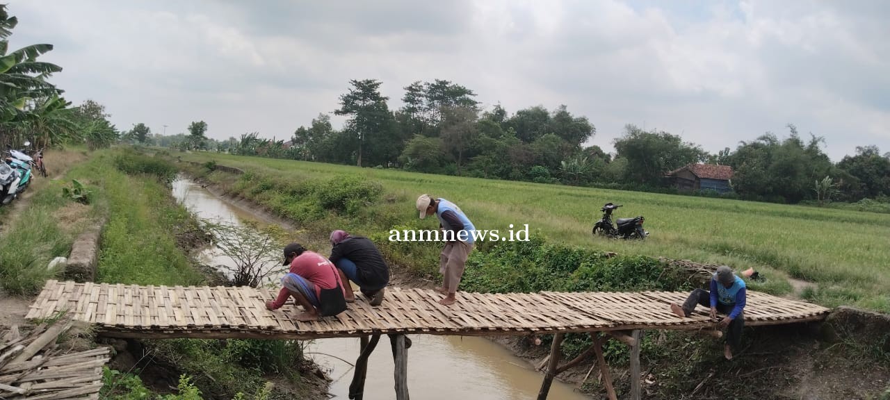 Antusias petani Desa Jatimulua, membangun Jembatan Bambu