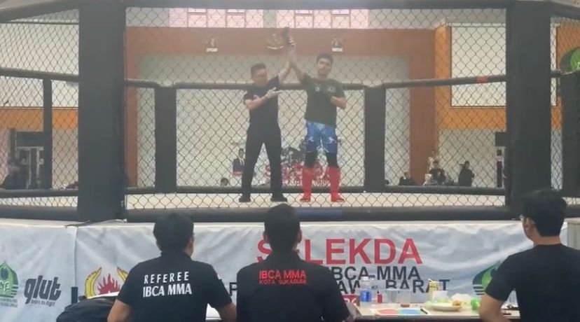 MMA.jpg