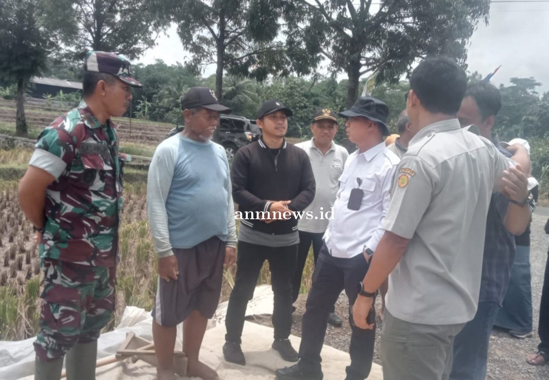 Dirjen Ketahanan Pangan, Pantau Hasil Panen dan Harga Padi di Desa Rajagaluh Kidul