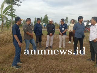 Perhutani Bersama Balai PSKL Tinjau Lokasi di Indramayu Guna Mendukung Ketahanan Pangan.