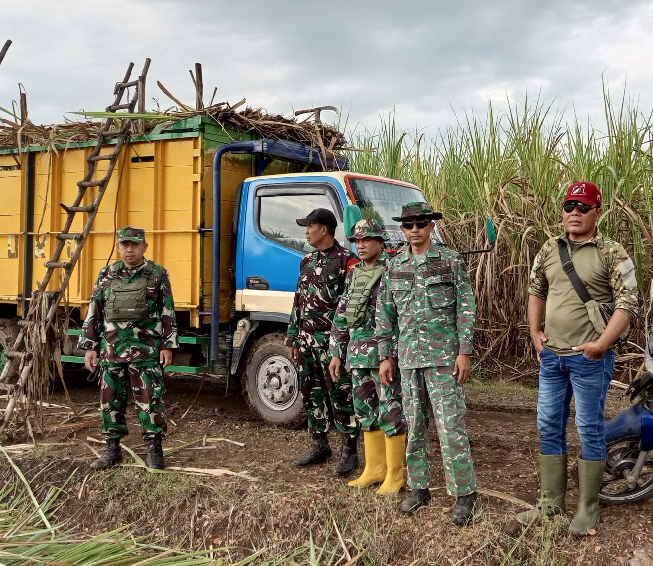 Hujan Angin Robohkan Tanaman Tebu Rakyat