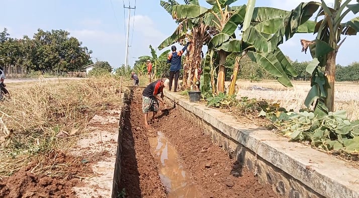 Tunggul_payung.jpg