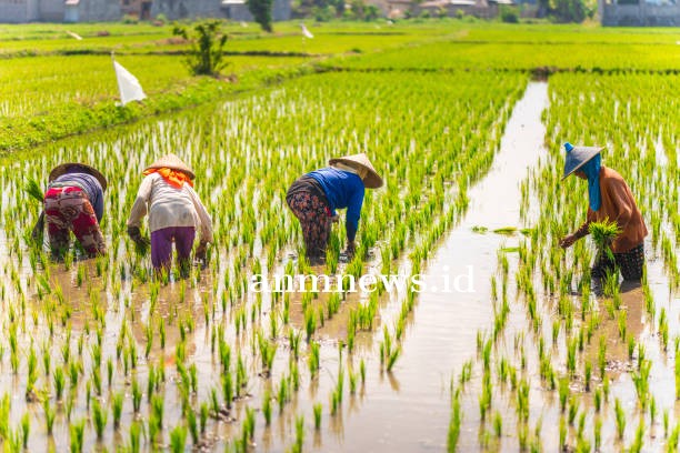 Dutch Disease dan Alasan Mengapa Masyarakat Indonesia tidak Produktif