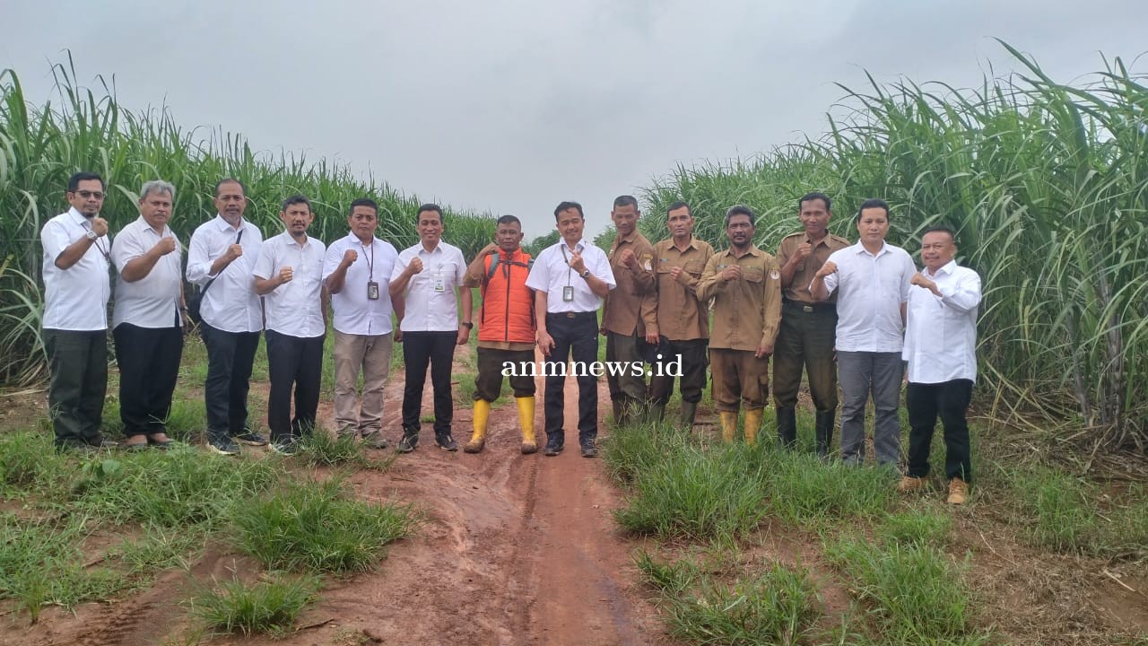 Direktur Oprasi Perhutani Tinjau Lokasi Agroforestry Tebu Mandiri di Indramayu